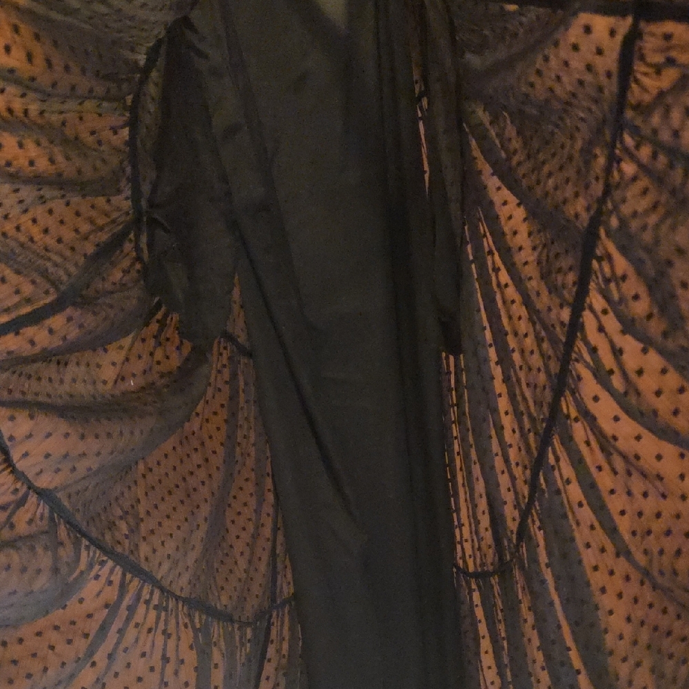 Zara Swiss Dot Long Sleeve Tiered Smocked Maxi Dress - Picture 10 of 11